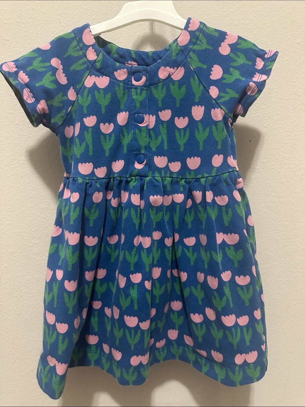 Hanna Andersson Blue Pink Green Tulip Print Cotton Dress